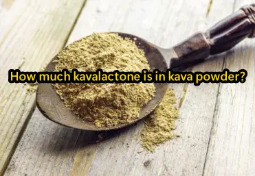 How much kavalactone is in kava powder?