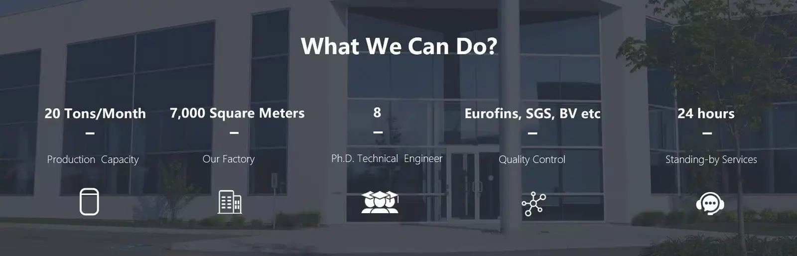 What-We-Can-Dob54