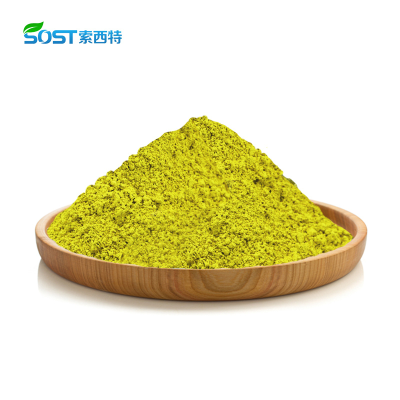 Quercetin Powder Sophora Japonica Extract CAS 6151-25-3