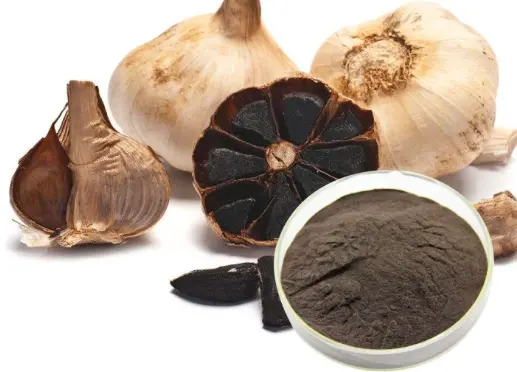 black garlic extract sac