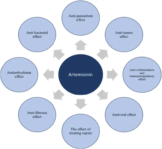 Artemisinin