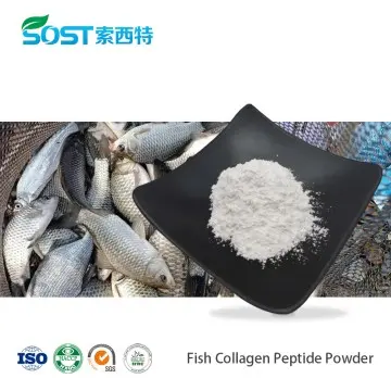 Collagen Peptide Powder Fish