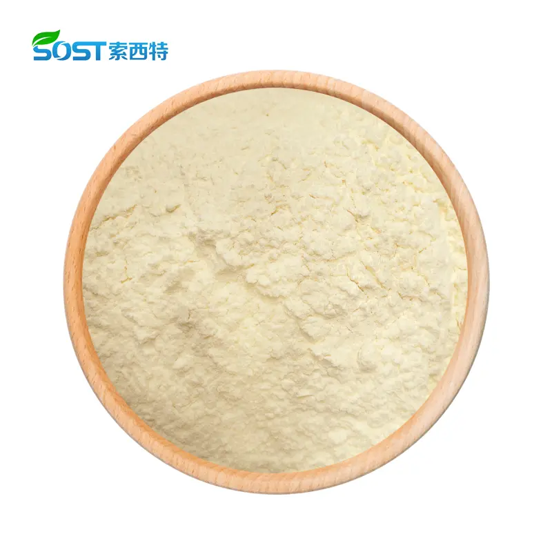 Monk Fruit Extract.webp