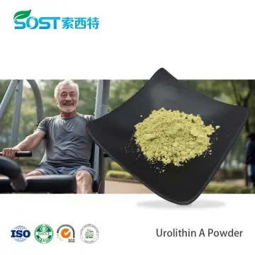 Pomegranate Extract Urolithin A