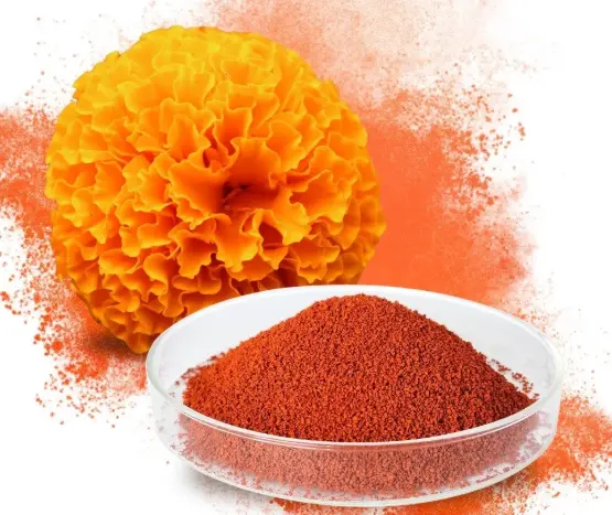 How to buy marigold flower extract