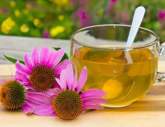 e51e78d5-248f-455a-9876-c854fef34a37