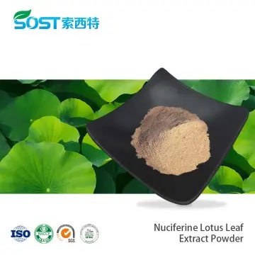Nuciferine Lotus Leaf Extract Powder 1% 3% 98%