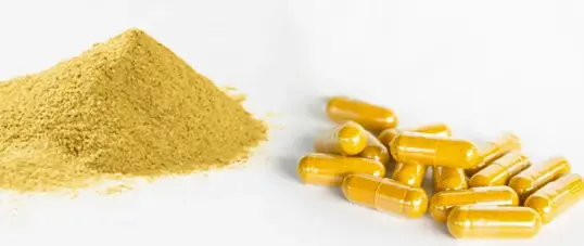 best fisetin product