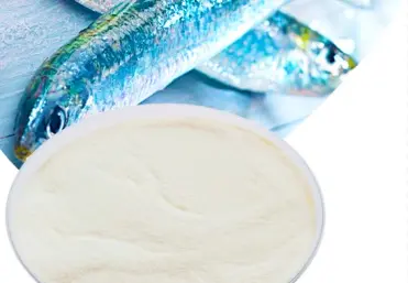 Is fish collagen better than regular collagen?