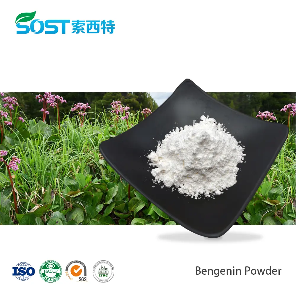 Bengenin Powder ISO Certified