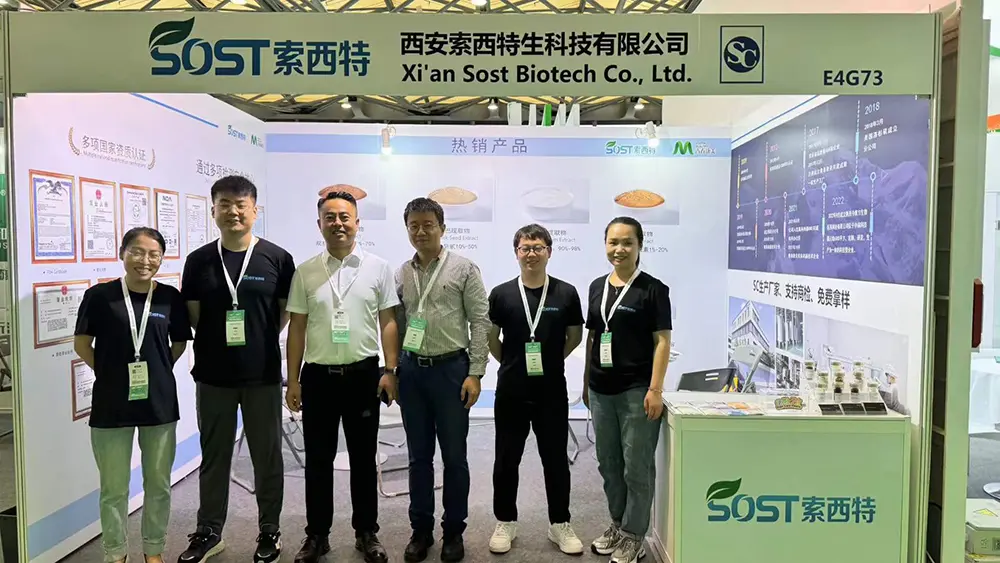 2024 Shanghai CPHI Concluded Successfully