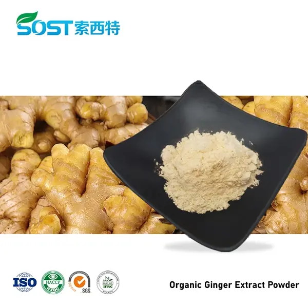 Organic Ginger Extract Powder