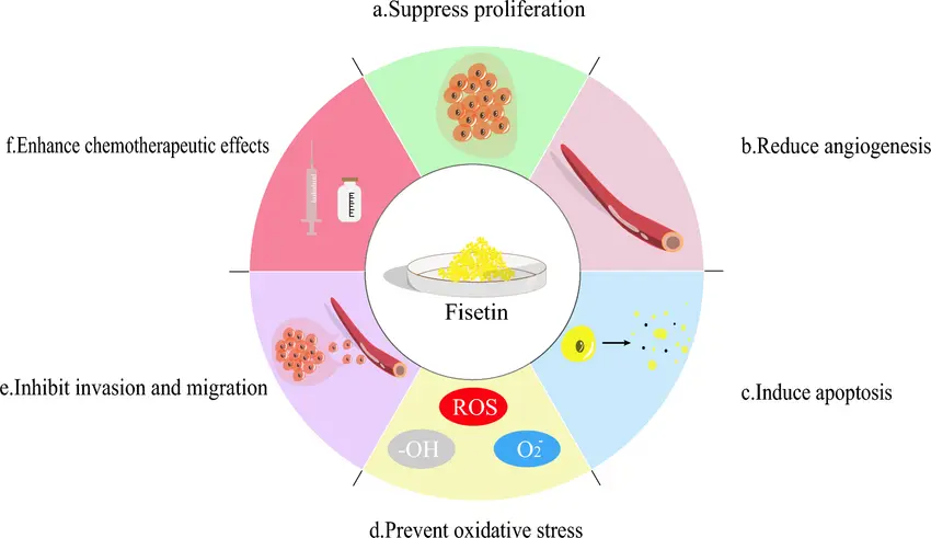 fisetin