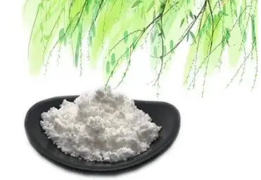Salicin: The Natural Pain Reliever You Need to Know About