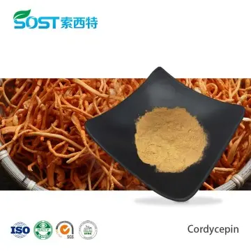 Cordycepin 1% Cordyceps Militaris Extract