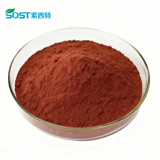 Pine Bark Extract Powder.png