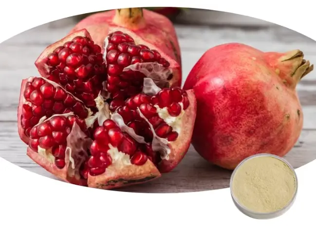 Pomegranate Extract Urolithin A