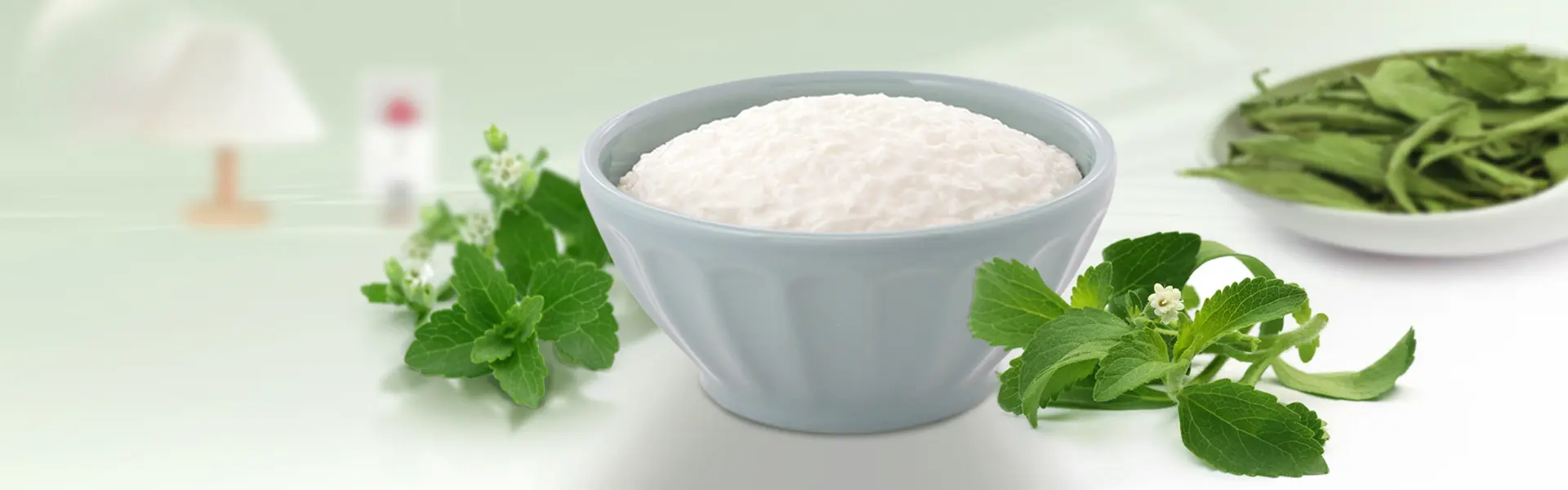 Stevia Rebaudiana Powder