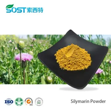 Silymarin Powder