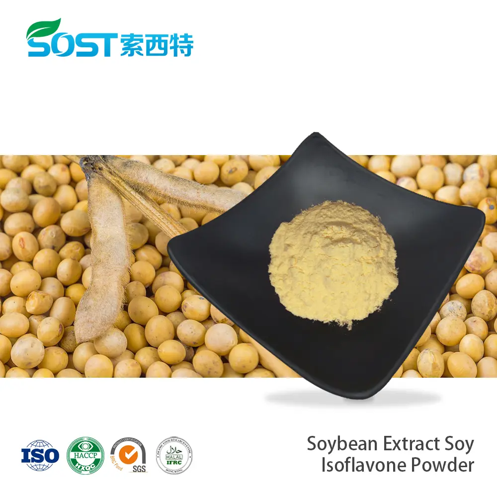 Soybean Extract Soy Isoflavone Powder 40% Soy Isoflavones