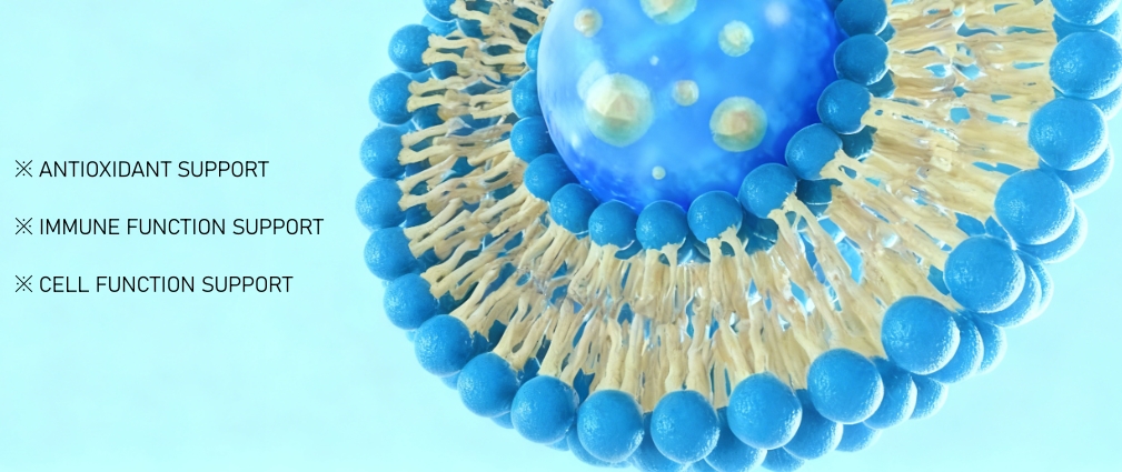 Liposome Calcium AKG Liposomal factory price