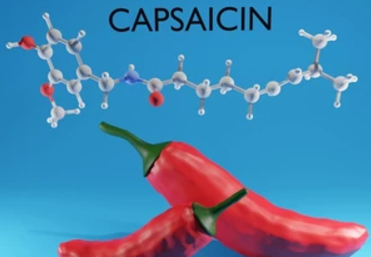What foods are high in capsaicin?