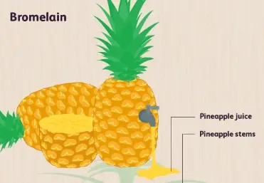 Is it safe to eat bromelain every day?