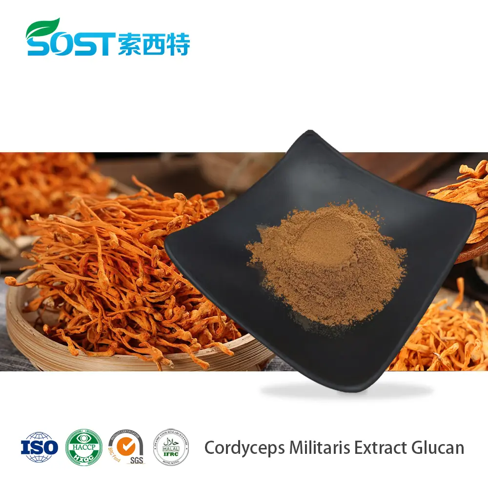 Cordyceps Militaris Extract