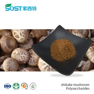 Lentinan Shiitake Mushroom Powder