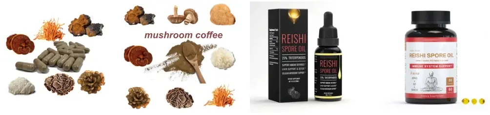 applications of Organic Reishi Mushroom Extract in the food industry