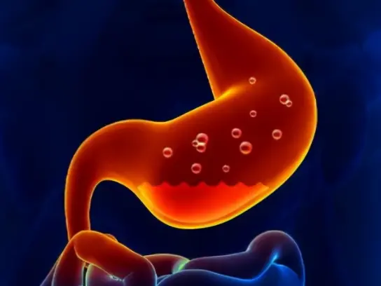 berberine hydrochloride effects