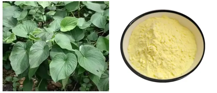 kavalactones powder