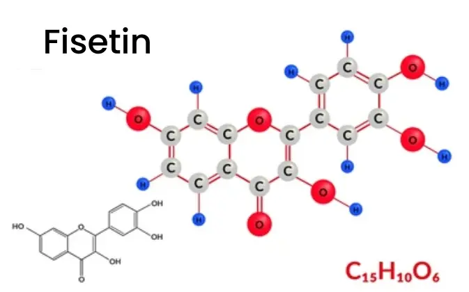 FISETIN POWDER