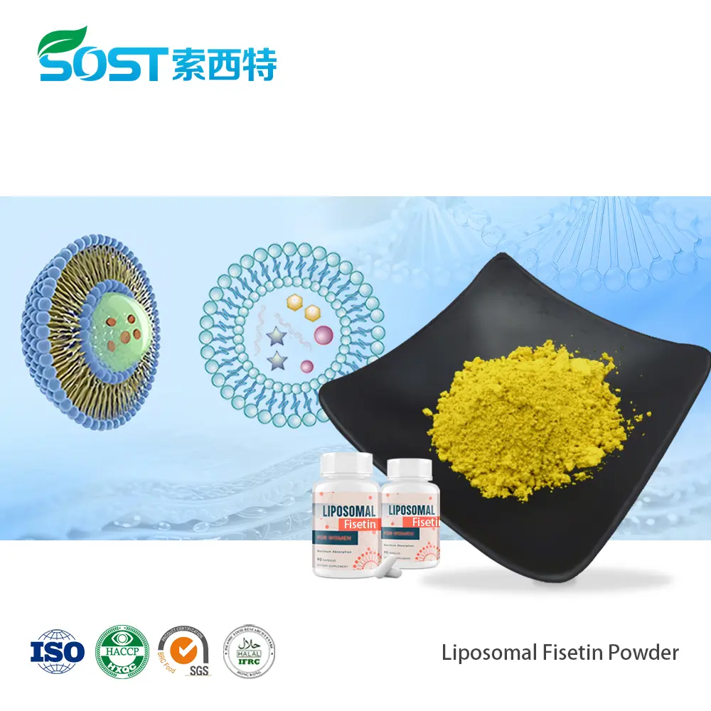 Liposomal Fisetin‌ Powder脂质体非瑟酮.jpg