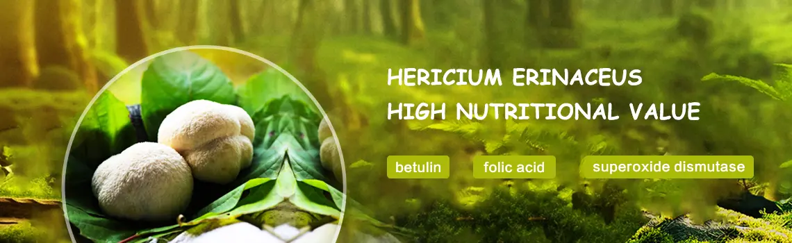 lions mane beta glucan