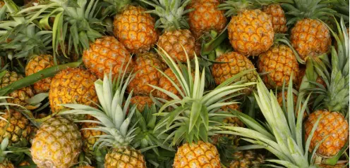 pineapple
