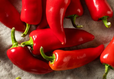 What Does Capsaicin Do to the Nerves?