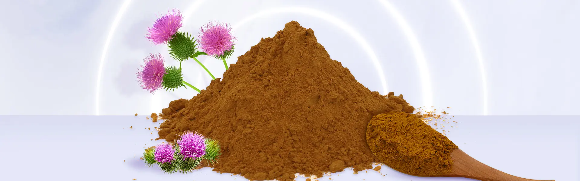 Milk Thistle Extract Silybin