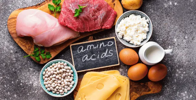 Amino Acids