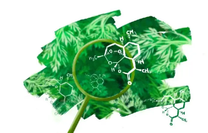 artemisinin 99%