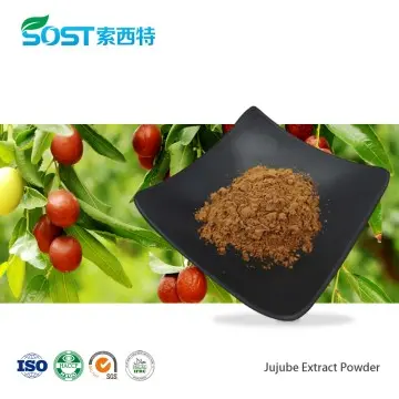 Jujube Extract Powder