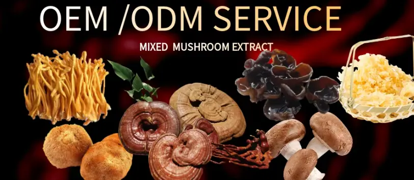 OEM MUSHROOM POWDER