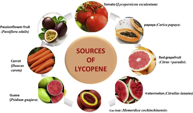 the benefits of lycopene