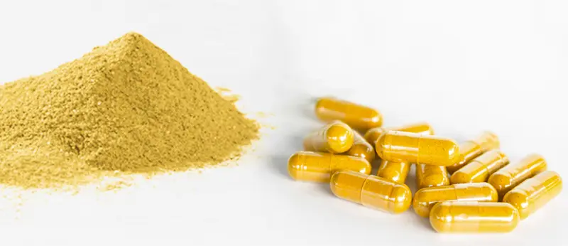 Bulk Price Fisetin Powder 98% (2)dgr