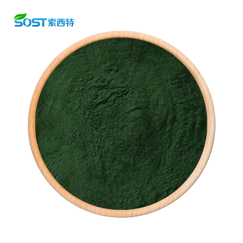 Chlorophyll 2.jpg