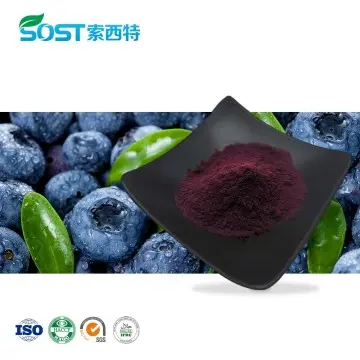 Wild Blueberry Powder