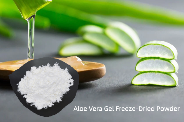 Aloe Vera Gel Freeze-Dried Powder