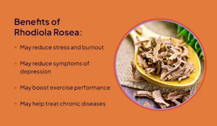 benefits of rhodiola