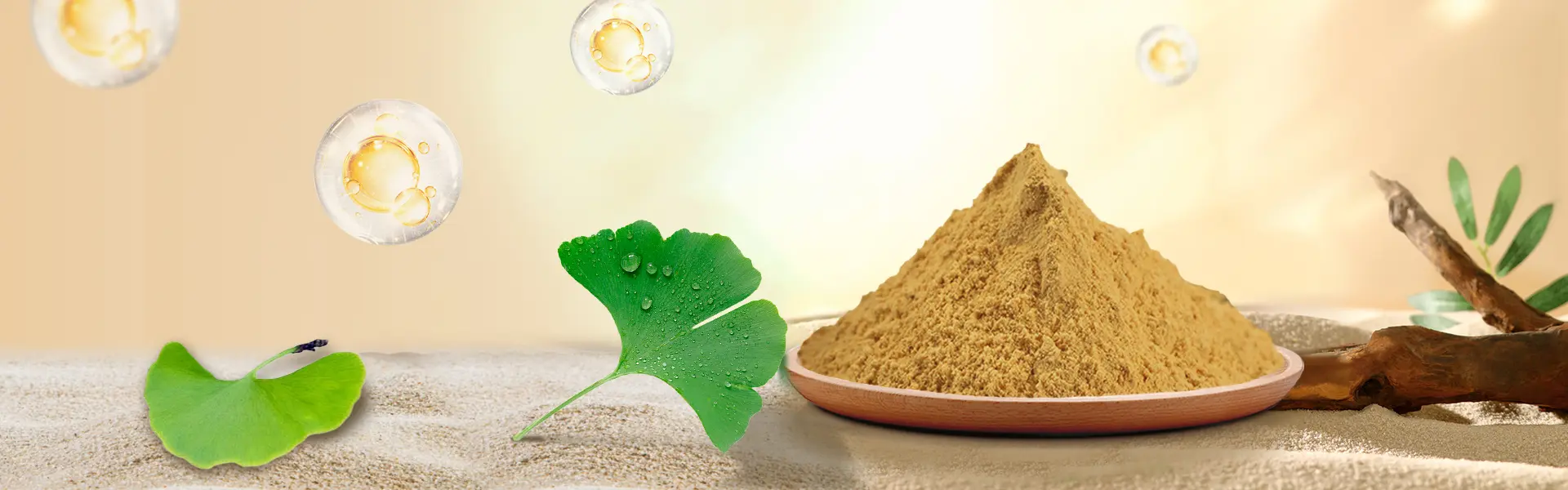 ginkgo leaf extract