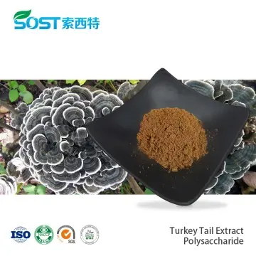 Turkey Tail Extract Polysaccharide